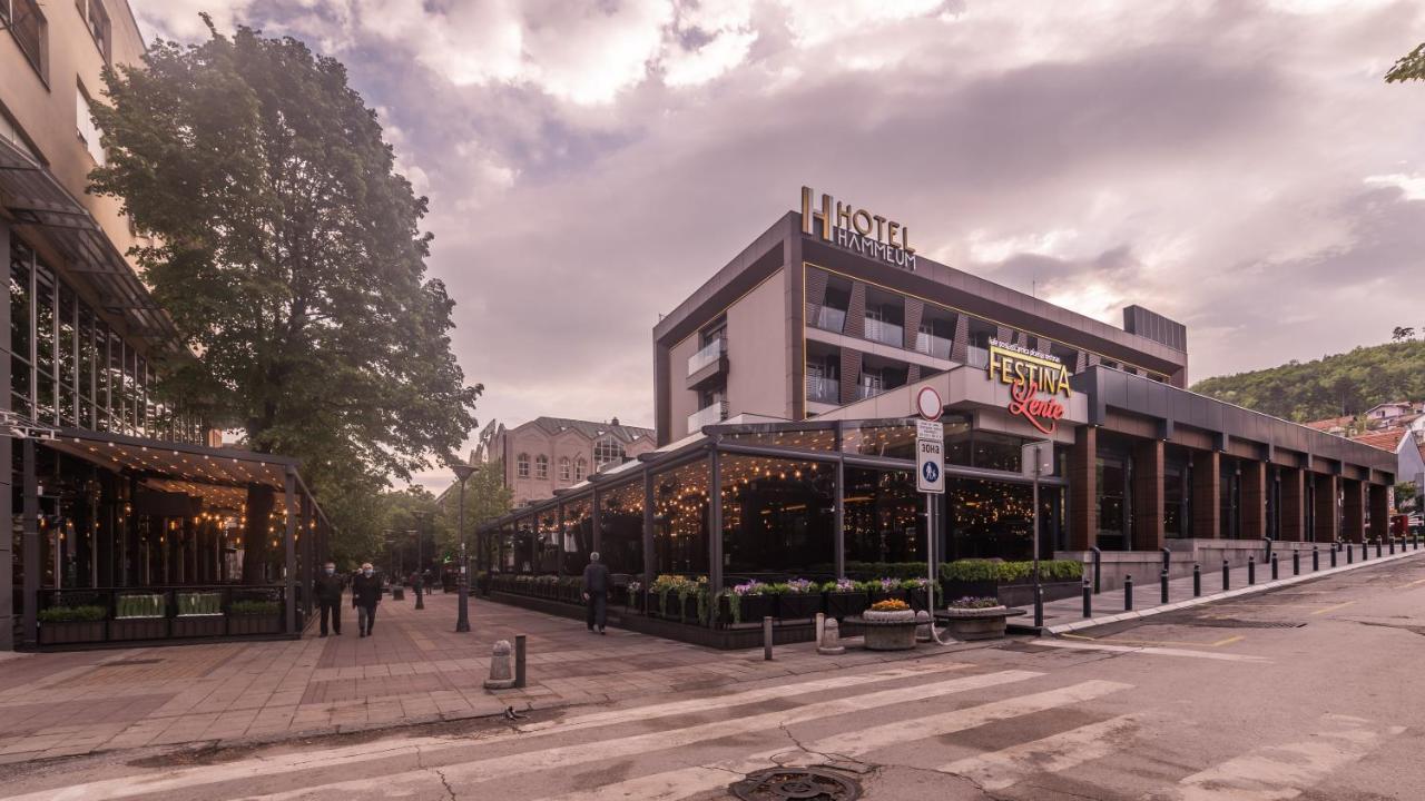Hammeum Hotel Prokuplje ภายนอก รูปภาพ
